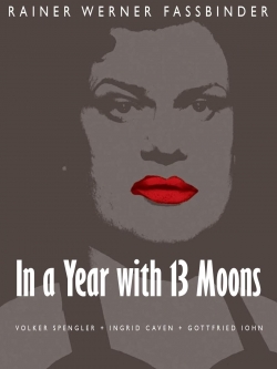 watch In a Year with 13 Moons movies free online