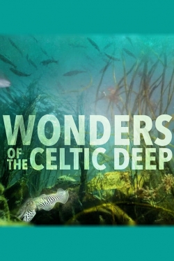 watch Wonders of the Celtic Deep movies free online
