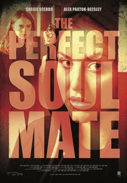 watch The Perfect Soulmate movies free online