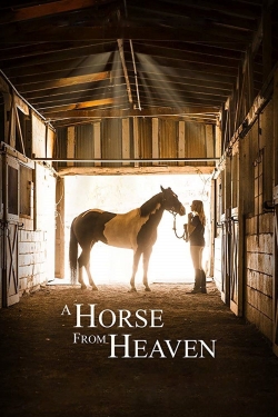 watch A Horse from Heaven movies free online