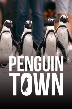 watch Penguin Town movies free online
