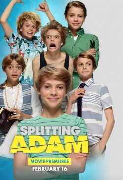 watch Splitting Adam movies free online